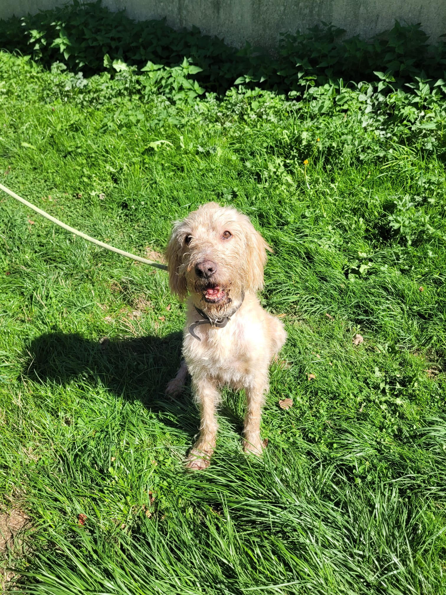 Max