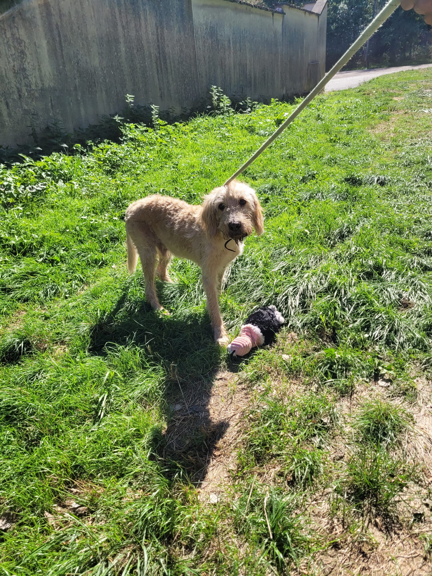 Max