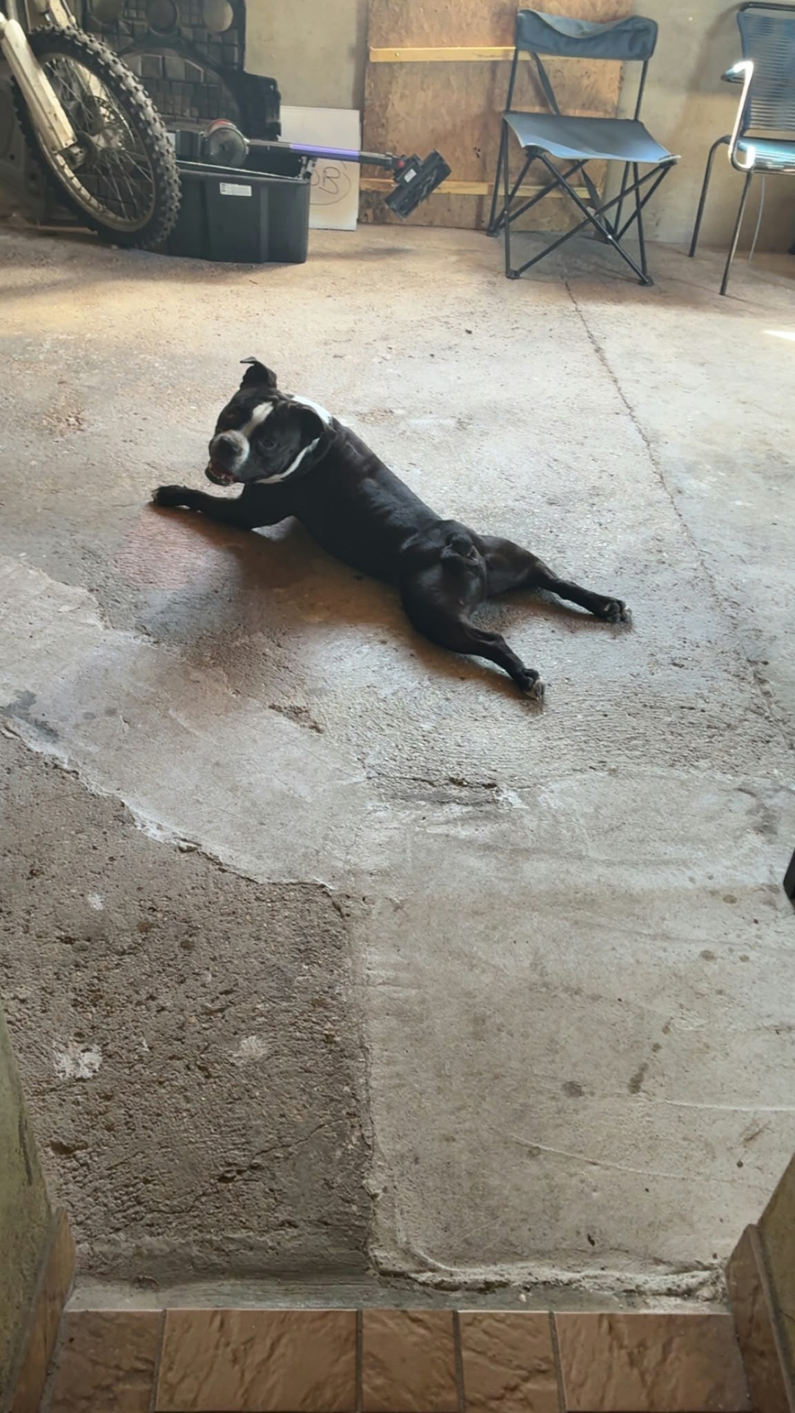 Saïko